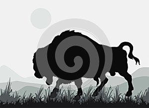 Black isolated silhouette of a bison